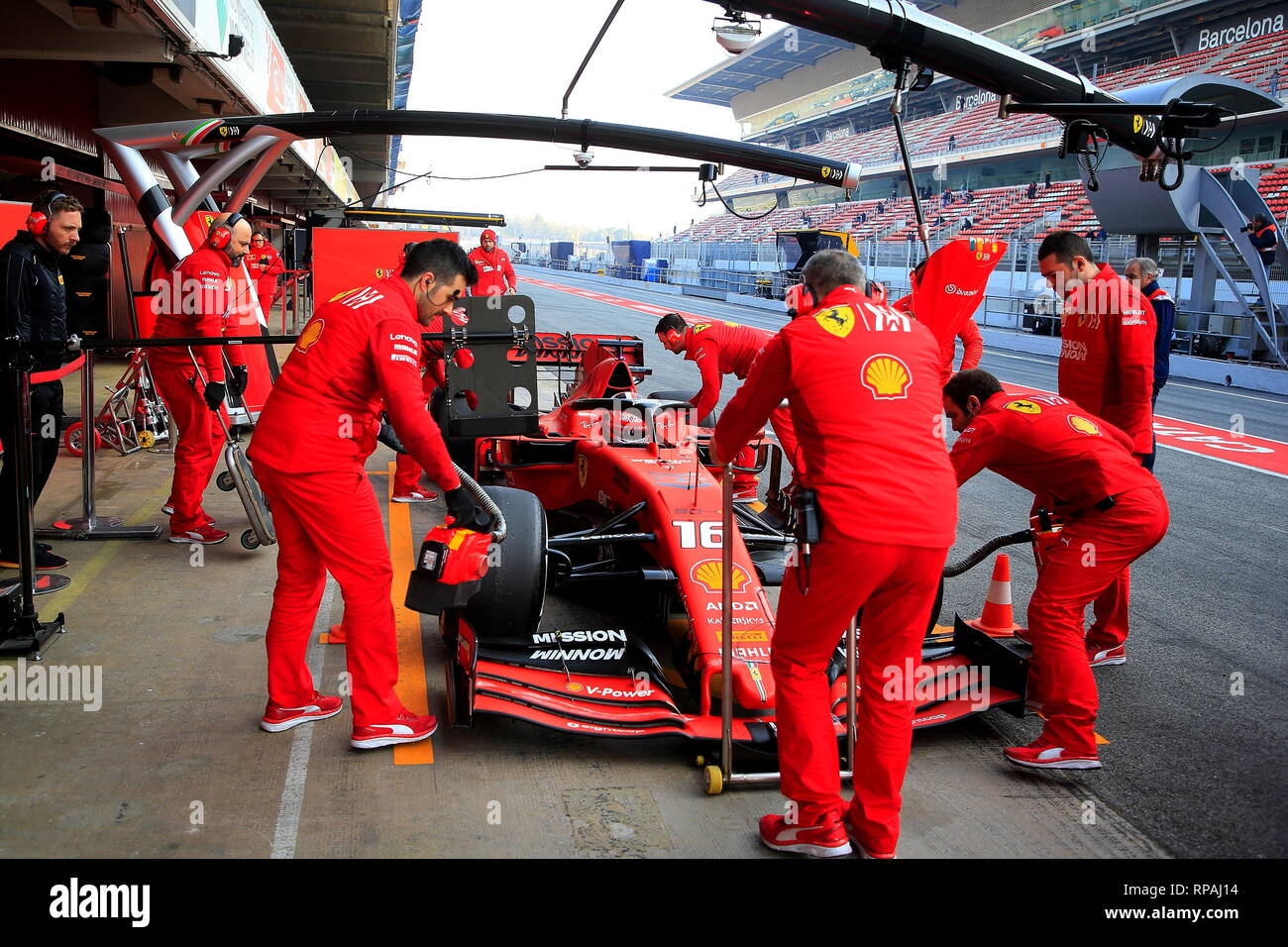 Live Oak, Texas visual data 5