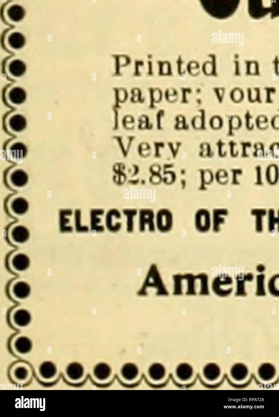 . The American florist : a weekly journal for the trade. Floriculture; Florists. 1905- Th E American Florist. 177 Orchids! i^ CAaiErA MENDElII. just arrived In fine con- dition tt sbipiuent of this scarce and beautiful Orchid. Also Laelia Ancepa and Oncidium Tigrtuum, etc. Write for special list No. 14. Lager &amp; Hurrell, summit, n. j. Orchid Growers and Importers. Please mention the A merican Florist when writing, GARDENIA PLANTS. (GRAMDIFLORA CAPE JESSAMINE.) Our leading specialty. Natural growing con- ditions here ideal; sue tells its own story. ^A^e do not think they can be equaled elsew Stock Photo
