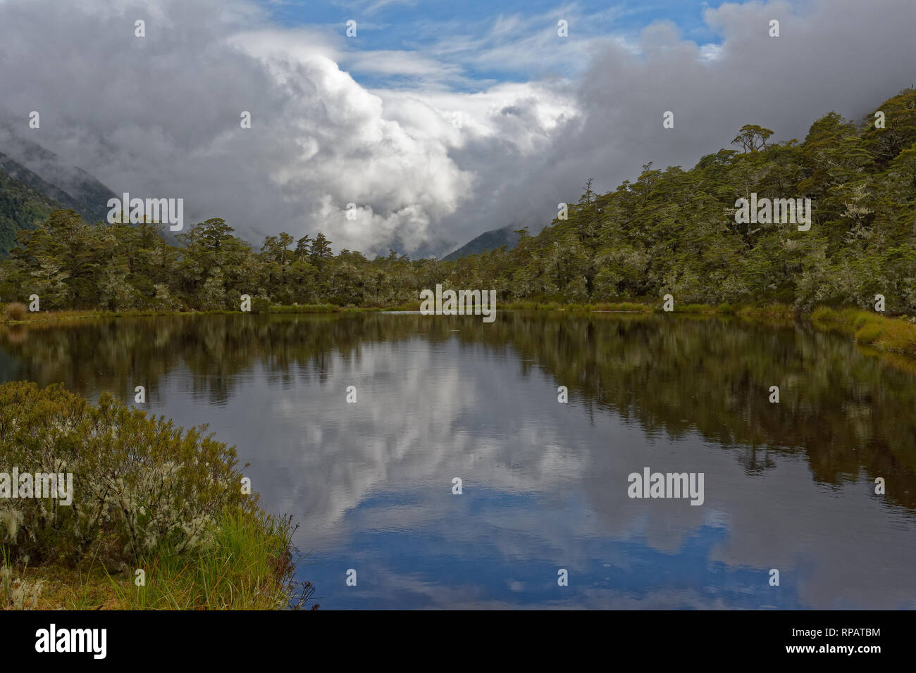 Clouds reflected in the tarn (small lake) at the Alpine Nature walk, the start of the St James walkway Stock Photo