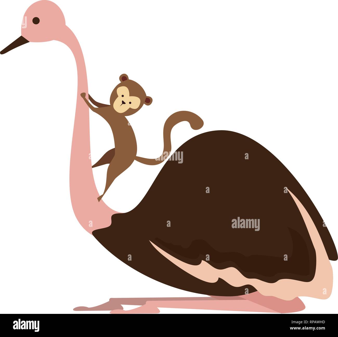 wild ostrich bird character vector illustration design Stock Vector ...