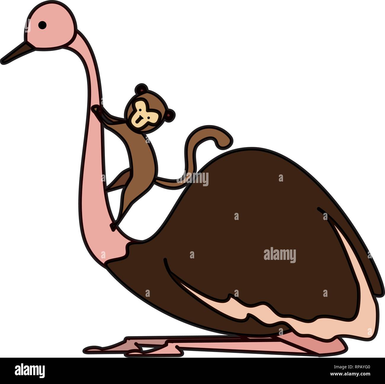 wild ostrich bird character vector illustration design Stock Vector ...