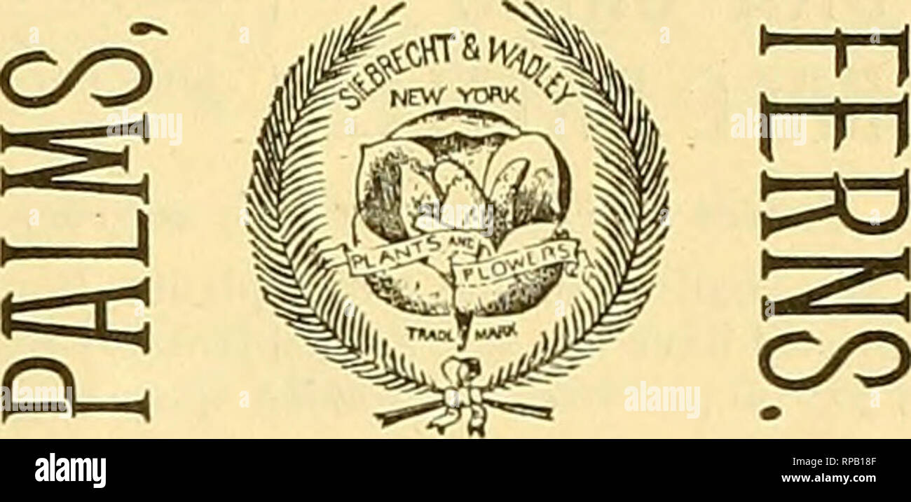 The American Florist A Weekly Journal For The Trade - 