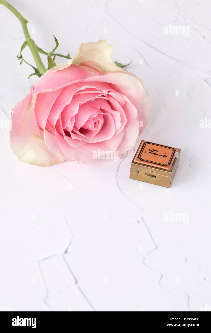 Pink rose and pill box on white paint effect background Stock Photo