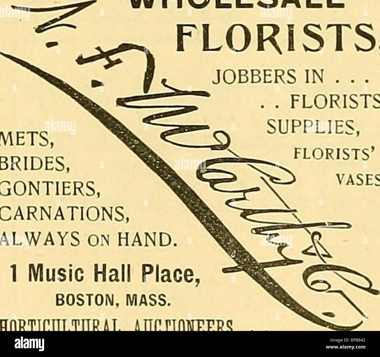 . The American florist : a weekly journal for the trade. Floriculture; Florists. iSgs The American Florist, II81 E. H. HUNT, Wholesale PijORist 79 Lake Street, CHICAGO. Per 100 Perle. Gontler, Nlphetos S3.00@S4.U0 Mermets. La France. Bride 4.00® 5.00 Meteors G.UO Carnations, short 1.00 &quot; Ions 1.50 Valley, Tulips, Narcissus 2.000 3.00 Adlantum 1.00 Callas, Harrlsll 8.00@12.00 Smilax lU.OOSlS 00 Paionlas fi.OO Asparagus Plumosus 50 00 In effect till next Issue of this paper. Kennlcott Bros. Go. WHOLESALE CUT FLOWERS, 34 &amp;. 36 Randolph street, A. L. RANDALL, Wholesale Florist and Dealer  Stock Photo