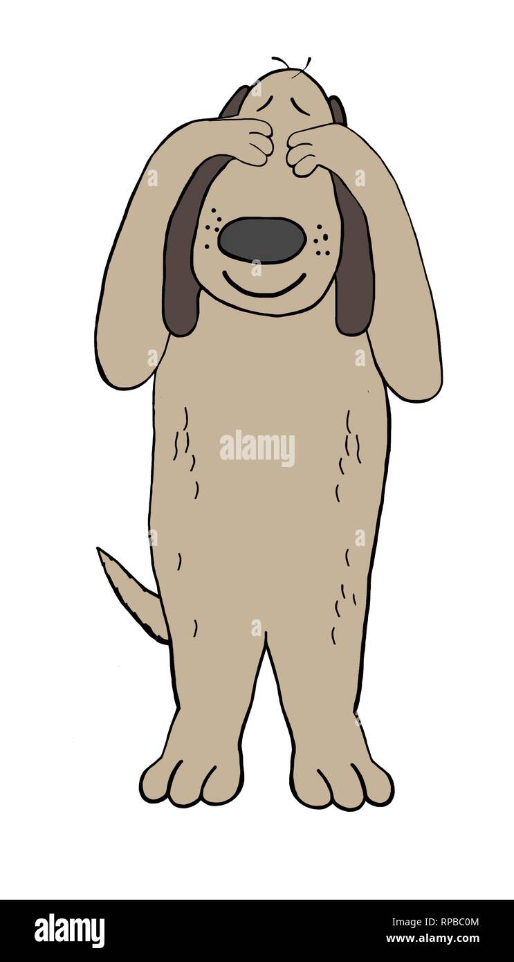 Dog doesn’t want to see what is happening outside Stock Photo Alamy