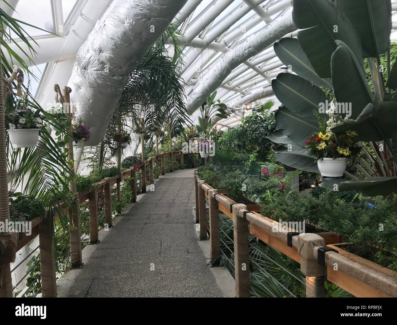 FEBRUARY 13,2019 KONYA TURKEY.Konya Tropical Butterfly Garden is the