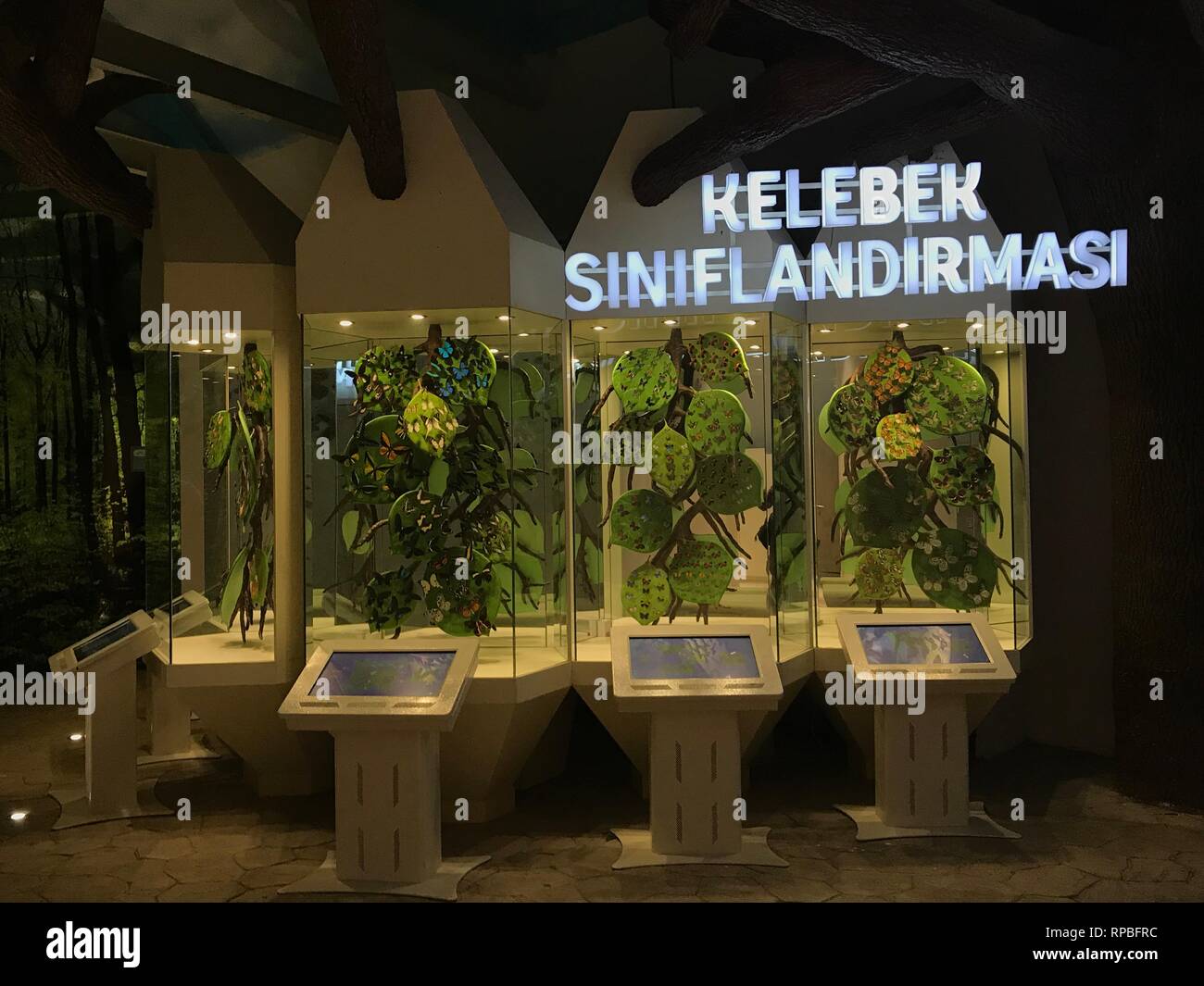 FEBRUARY 13,2019 KONYA TURKEY.Konya Tropical Butterfly Garden is the