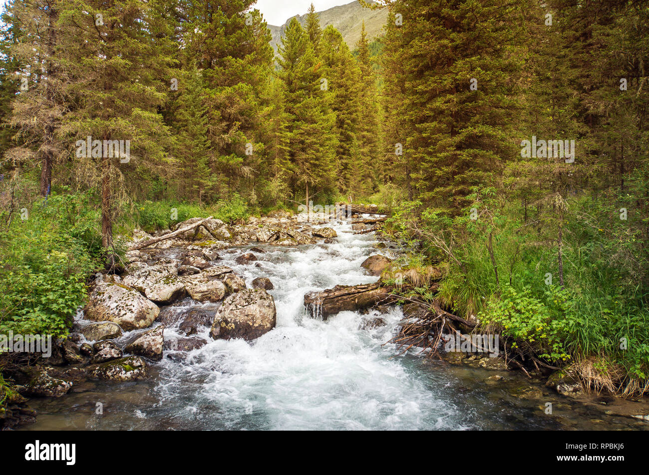 Free Images : landscape, nature, forest, rock, waterfall, creek,  wilderness, mountain, stream, scenery, rapid, body of water, canada, water  feature, watercourse, landform, rushing, british columbia, geographical  feature, wells gray provincial park, murtle