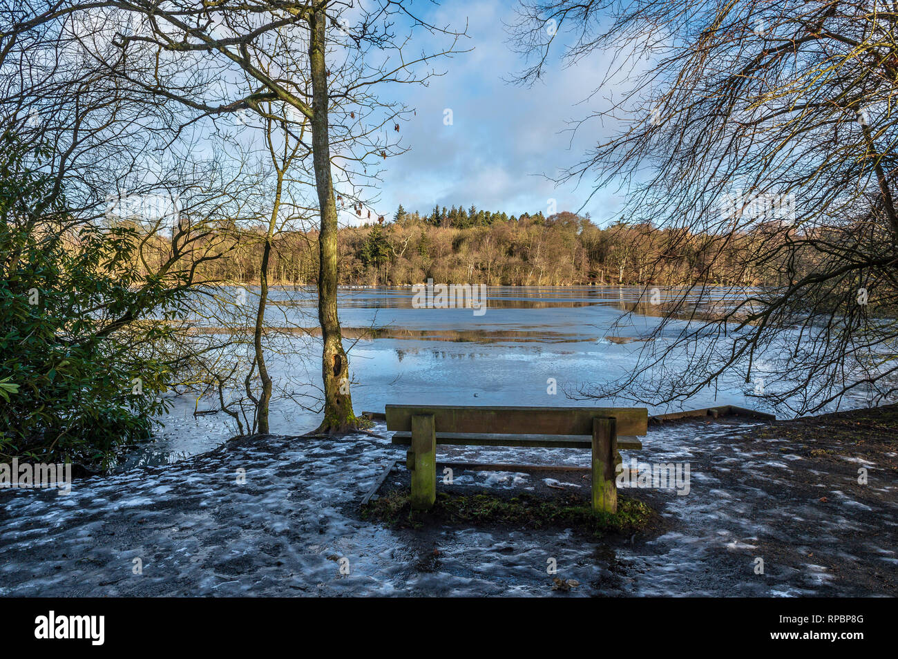 Bolam Lake Country Park Northumberland Uk Stock Photo 237516176