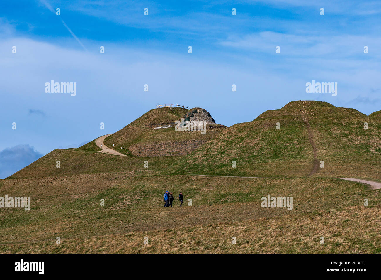 Northumberlandia land sculpture, Northumberland, UK Stock Photo Alamy