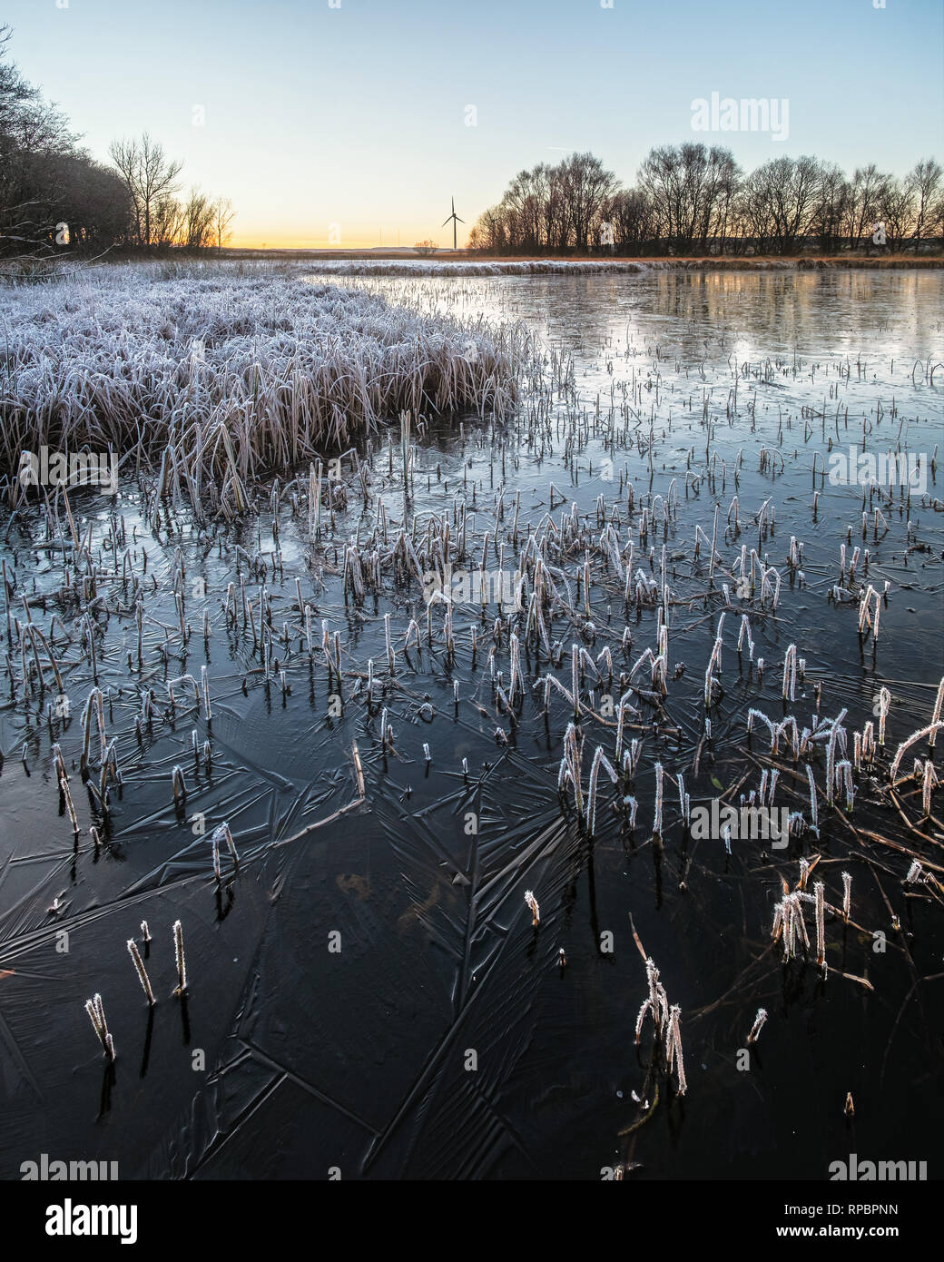 Frost covered plant sunset hi-res stock photography and images - Alamy