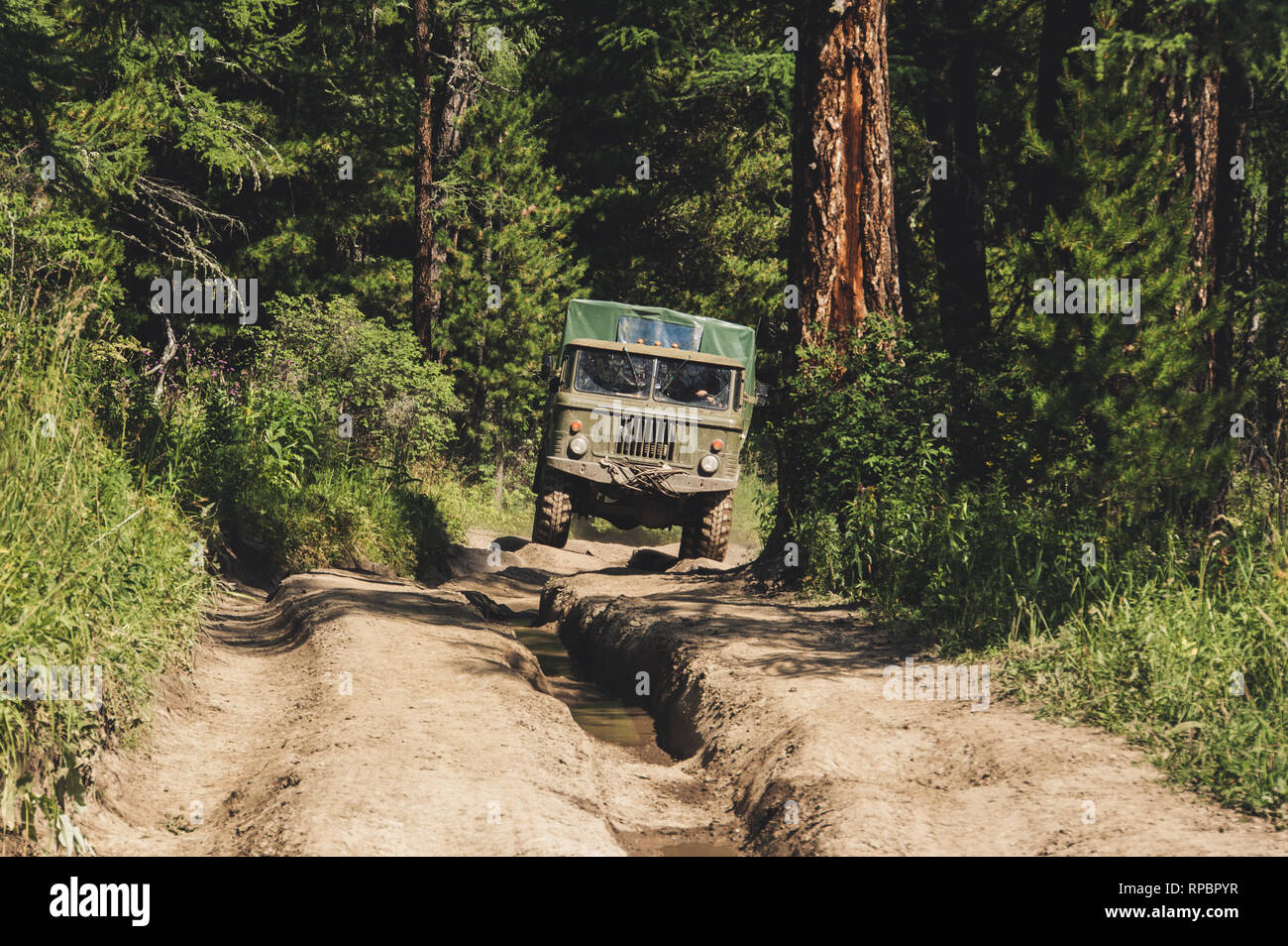 Old Soviet military green truck sneaks through the impenetrable thicket. Russian off road in Siberia. Bad Russian roads. Stock Photo
