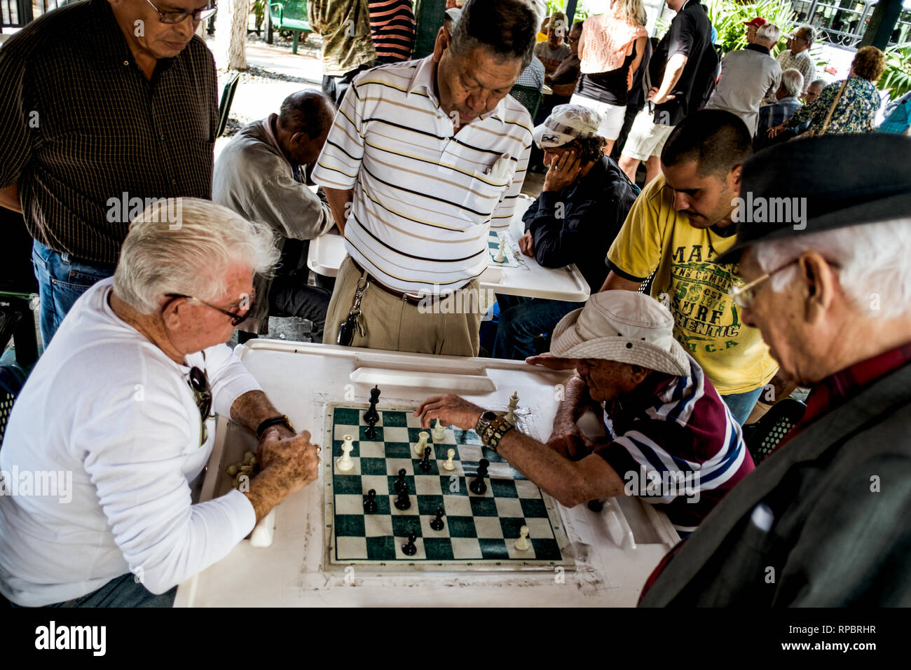 Cuban men playing chess in Little Havana's famous Máximo Gómez Park in the Little Havana neighborhood, Miami. (Photo credit: Gonzales Photo - Flemming Bo Jensen). Stock Photo