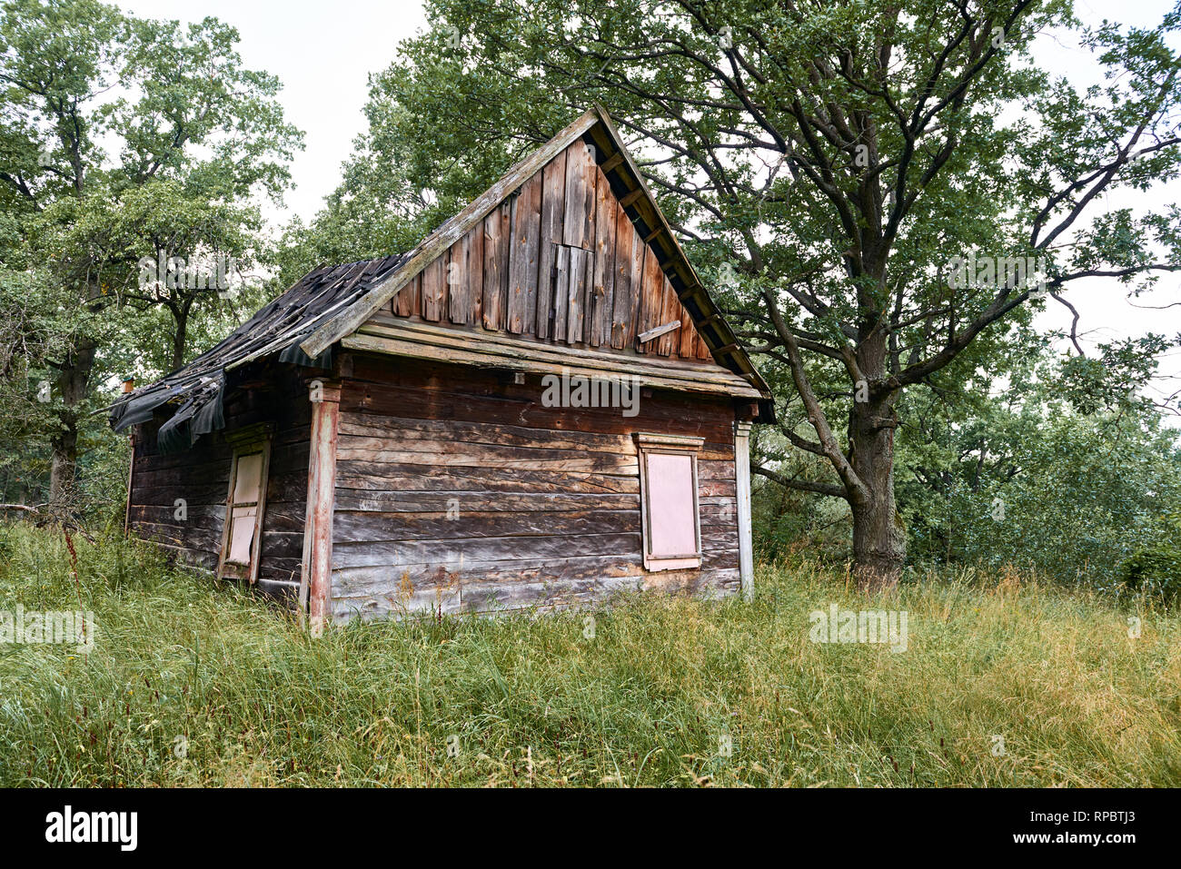 old wooden house in the forest Stock Photo - Alamy