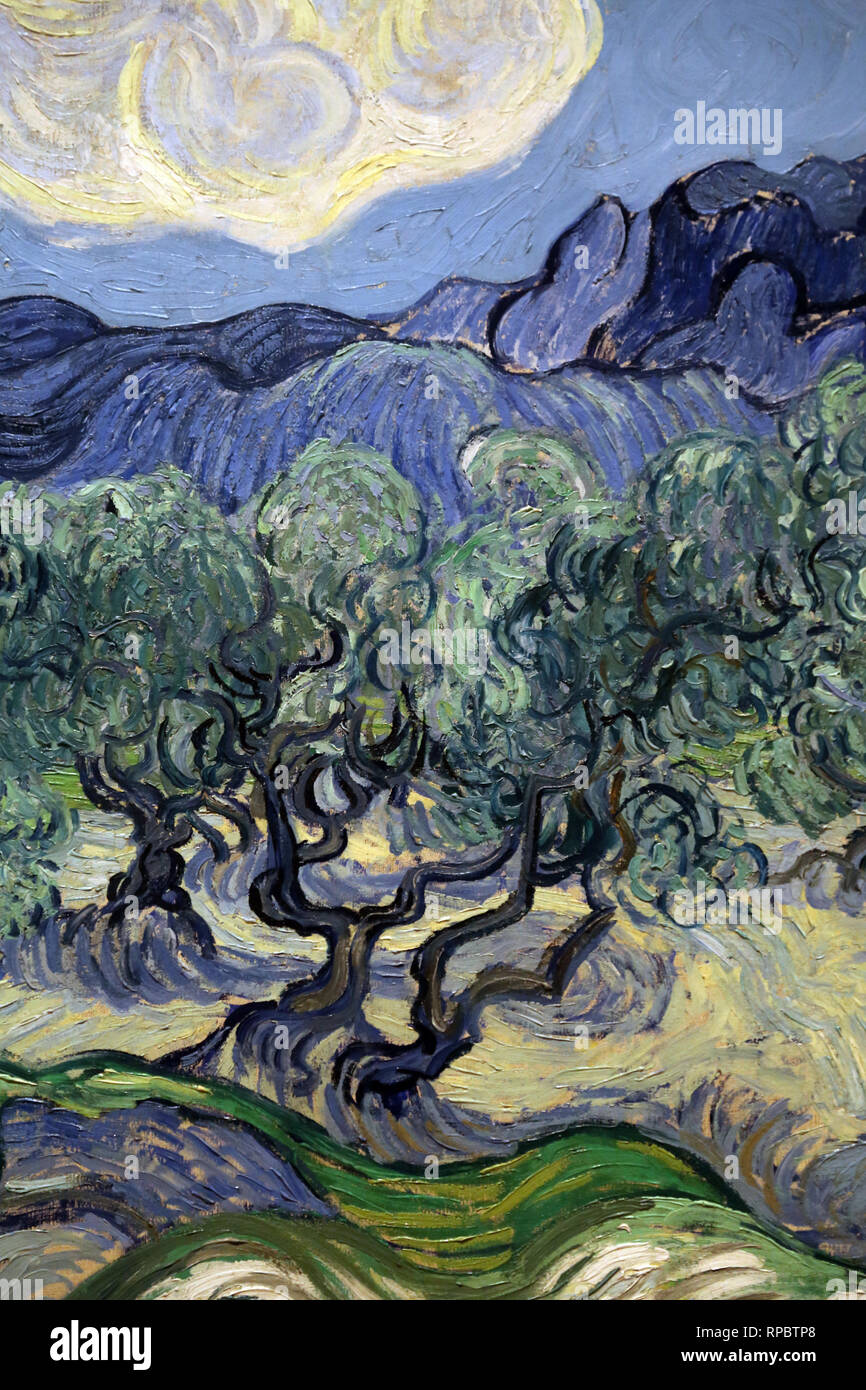The Olive Trees. By Vincent Van Gogh, 1889. Moma. Ny, Usa. Stock Photo