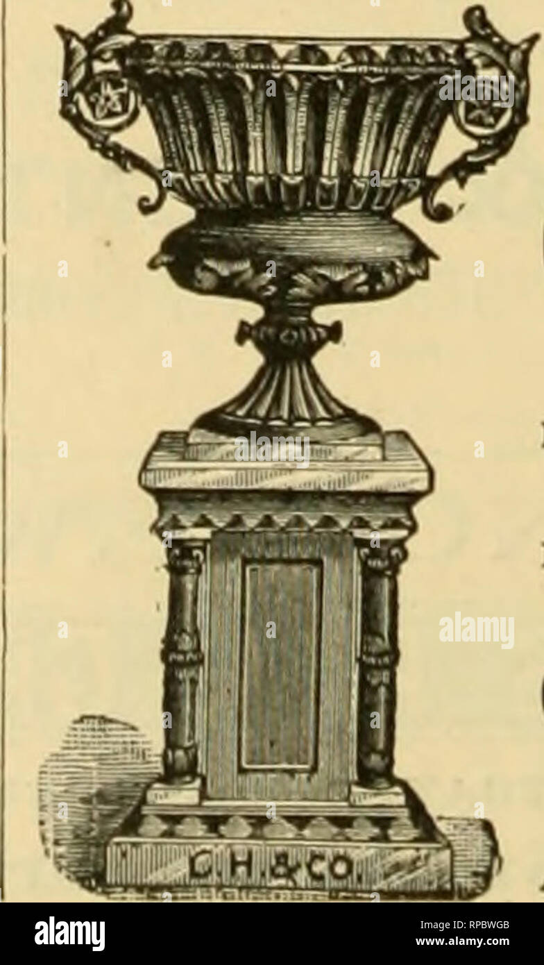 The American Florist A Weekly Journal For The Trade