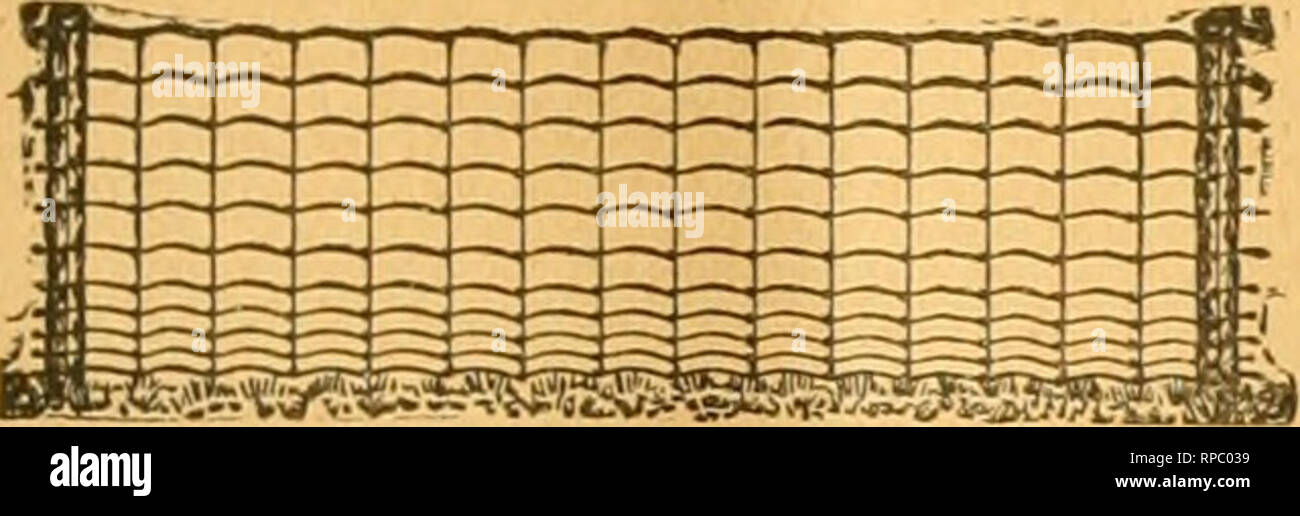 American Bee Journal Bee Culture Bees 1896 The Americapf Bee