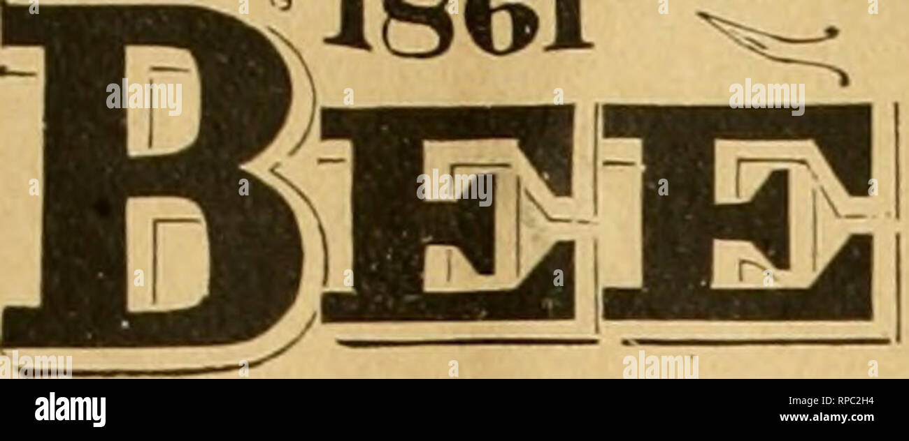 . American bee journal. Bee culture; Bees. 1861. 5ist BEE:PAP£r^ JOiPllltiil« SStli Year. CHICAG-O, ILL., JULY 11, 1895. No. 28. Corjtributcd /Vrticles. On Zmportant Apiarian Subjects. Hiving Swarms—More &quot; Talking Back.&quot; BY F. L. THOMPSON. Replying to Mr. Abbott's request on page 361, I will give just what Dr. Dubini says. After quoting a passage from Sartori and Rauschenfel's &quot; Apiculture in Italy,&quot; in which they say that surplus is usually not to be looked for from either the old colony or the swarm by the ordinary proceed- ing. Dr. Dubini says : &quot;This is the consequ Stock Photo