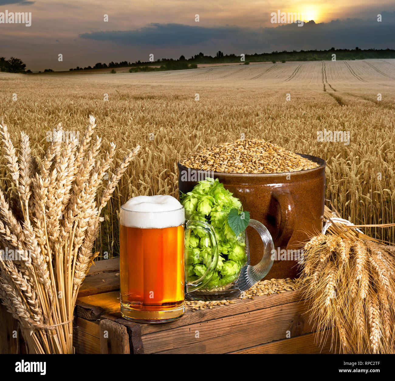 Beer glass and raw material for beer production Stock Photo Alamy