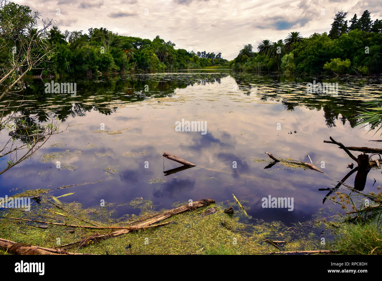 Lake with reflection of the cloudy sky and trees Stock Photo - Alamy