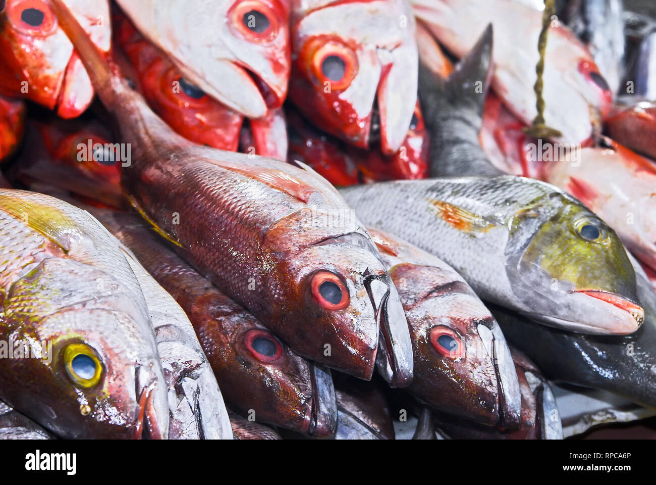 Mixed array of grouper fish, red snapper, coral fish laying for sale on a tray at the Central Market in Puerto Princesa City, Palawan, Philippines Stock Photo
