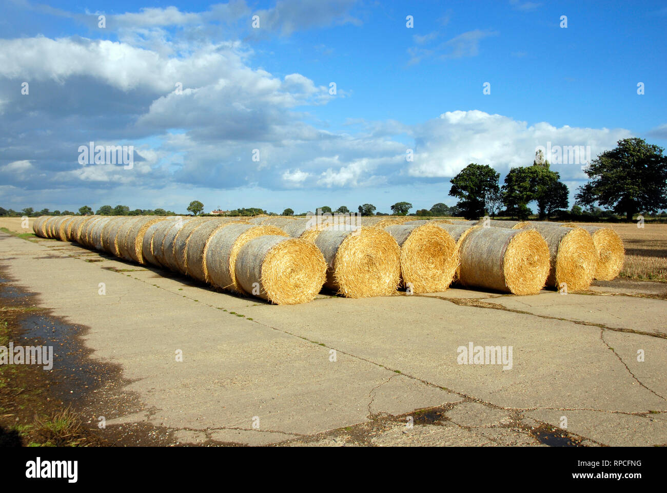 Straw bales stored temporarily on the former runway of a disused World War II airfield now reverted to farming, Norfolk, England Stock Photo