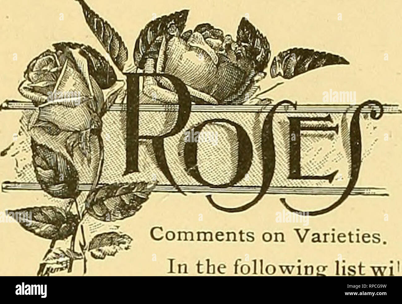 . The American florist : a weekly journal for the trade. Floriculture; Florists. EmErica is &quot;the Prow nl the IIbssbI; thers may be more comfort Mmidships, but we etb the Rrst to touch Unknown Seas.' Vol. VIII. CHICAGO AND NEW YORK, MARCH 30, 1893. No. 252 f LHIIE /4eS!llB!0@M! lFl!=@L@l!@? Published every Thursday by The American florist Compahy. Subscription, Jl.OO a year. To Europe, S2.00. Address all communications to AMERICAN FLORIST COMPANY, 333 Dearborn Street, CHICAGO. Kiisterii Offlie: 67 Hromfleld .St., Boston. SOCIETY OF AMERICAN FLORISTS. Wm. R. Smith, Washington, D. C , presid Stock Photo