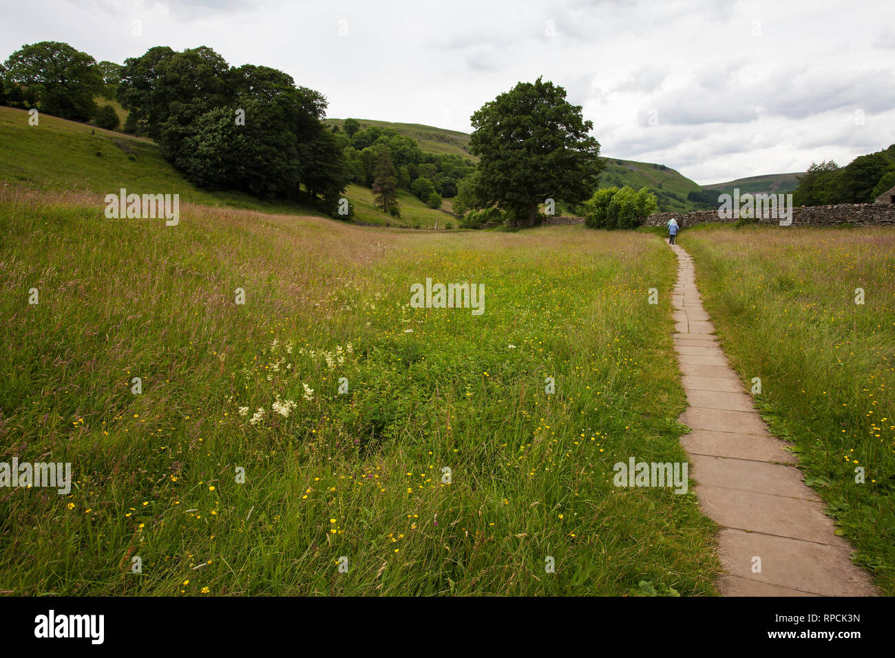 Coronation meadow with flagged footpath Muker Swaledale Yokshire Dales National Park Yorkshire England UK July 2016 Stock Photo