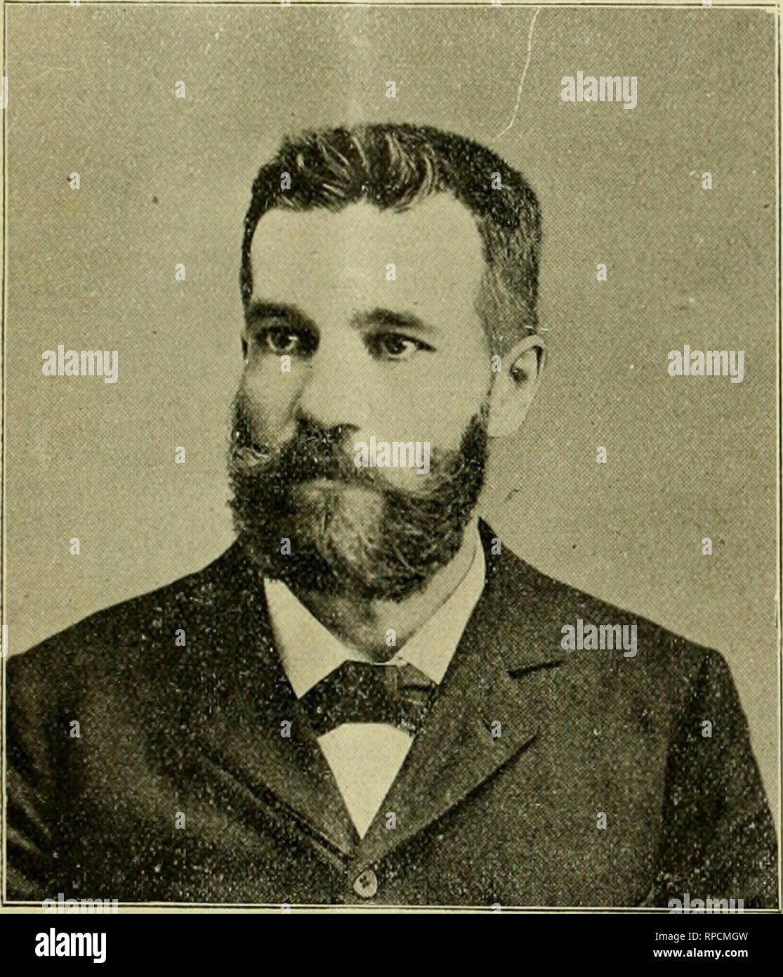 American Bee Journal Bee Culture Bees Sept 20 1900 American Bee Journa 597 The Workings Of