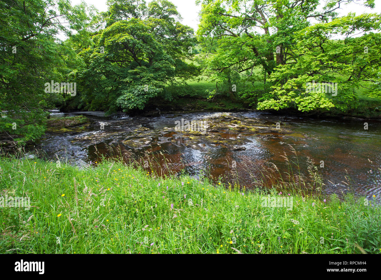 Greenfield Beck beside Yockenthwaite Meadows Langstrothdale Yorkshire