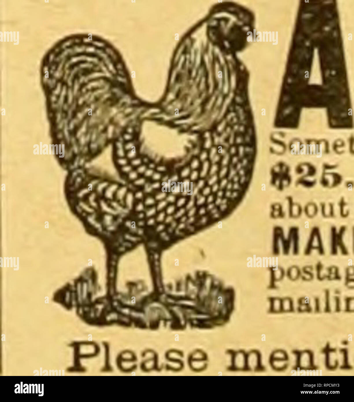 Page 79 1 11 G High Resolution Stock Photography And Images Alamy