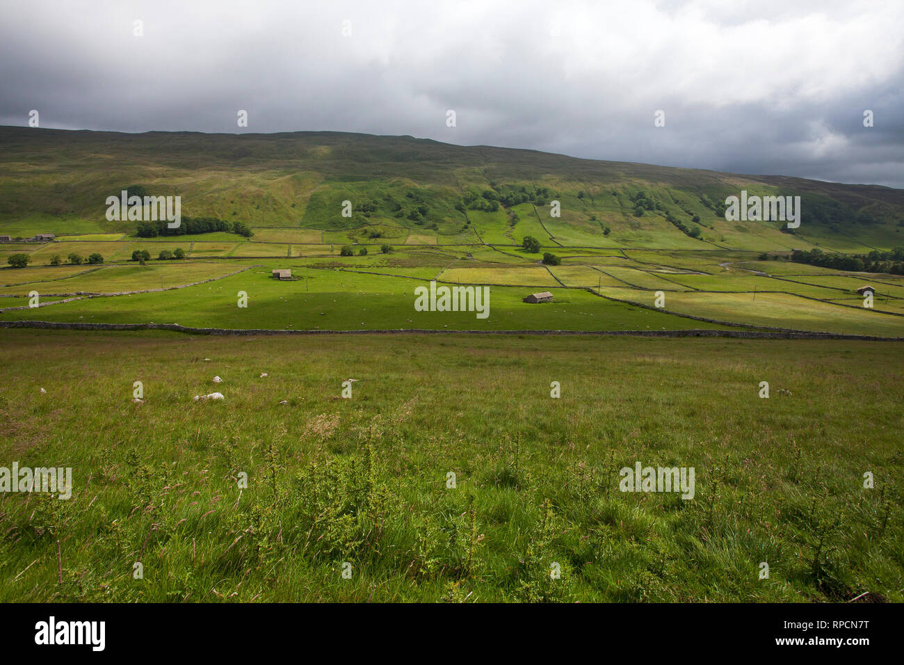 Old stone barns and meadows near Halton Gill Littondale Yorkshire Dales National Park Yorkshire England UK July 2016 Stock Photo