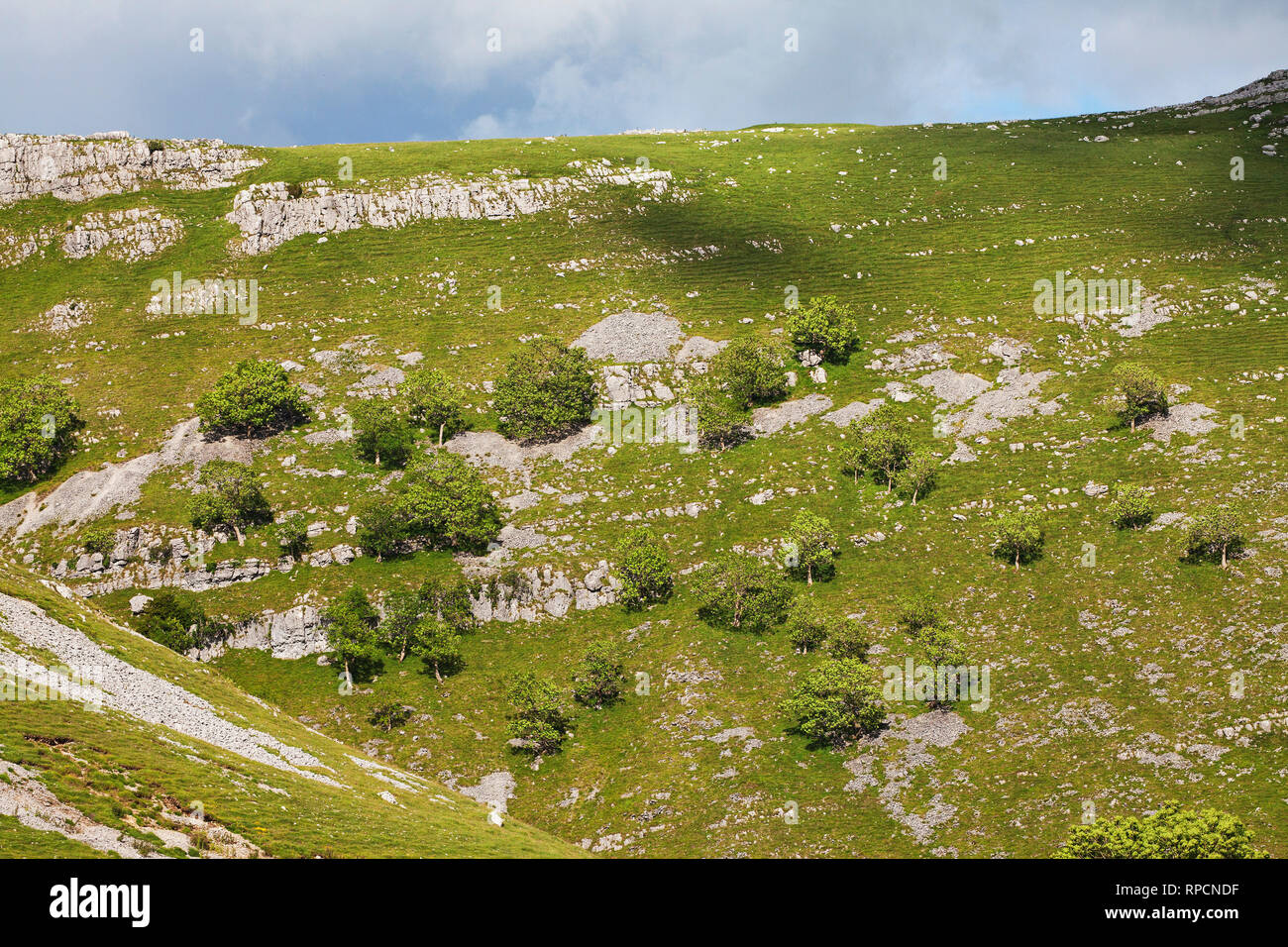 Limestone Ravines Limestone ridges above Gordale Scar limestone ravine near Malham ...