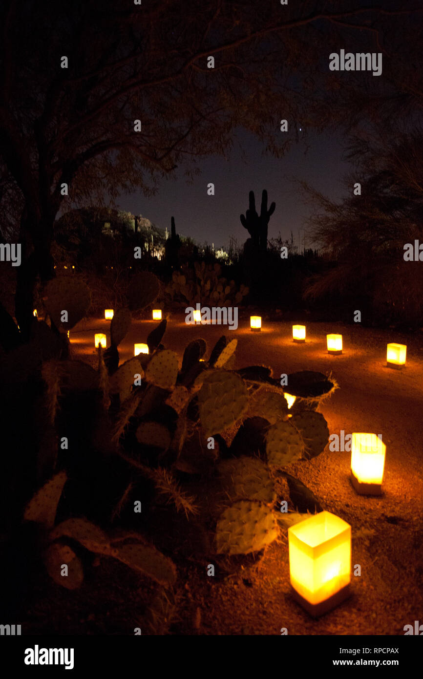 Luminarias hires stock photography and images Alamy