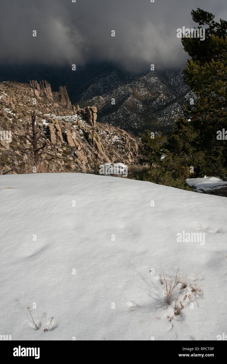 Snow on Mount Lemmon Stock Photo Alamy