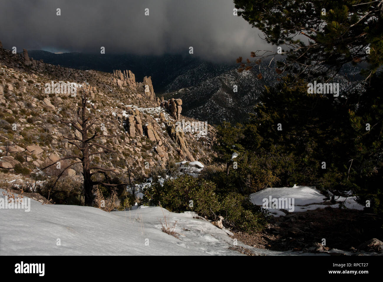 Snow on Mount Lemmon Stock Photo Alamy