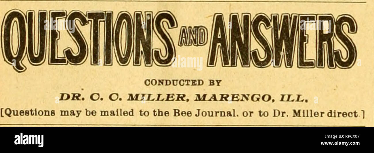 American Bee Journal Bee Culture Bees 550 The American Bee