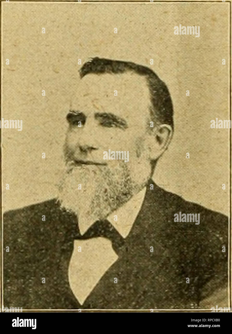 American Bee Journal Bee Culture Bees 23r L N Rl R Nrl 23r L Year Dadant S Foundation Year Why Does It Sell So Well Because It Has Always G Iven Better Satis Faction Than Any Other