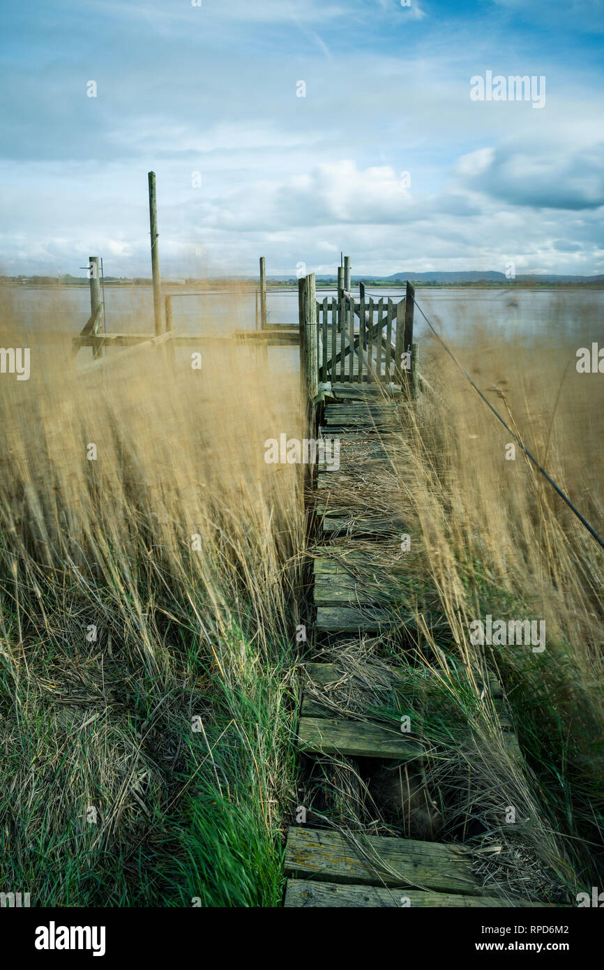 Dangerous Jetty High Resolution Stock Photography and Images - Alamy