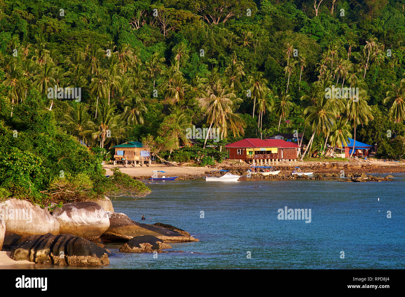 Abc Beach And Rainforest On Tioman Island Maiaysia Stock Photo Alamy