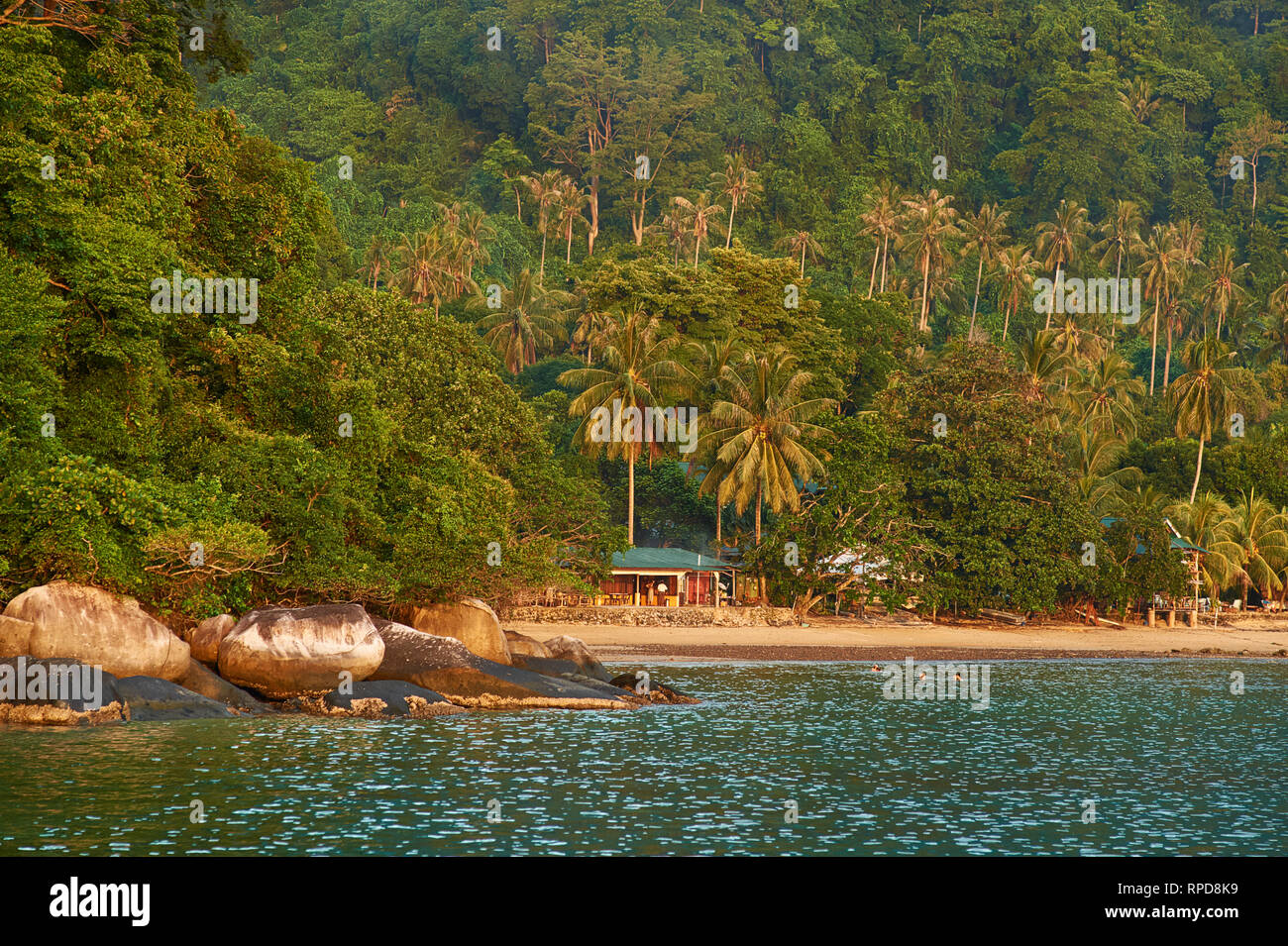Abc Beach And Rainforest On Tioman Island Maiaysia Stock Photo Alamy