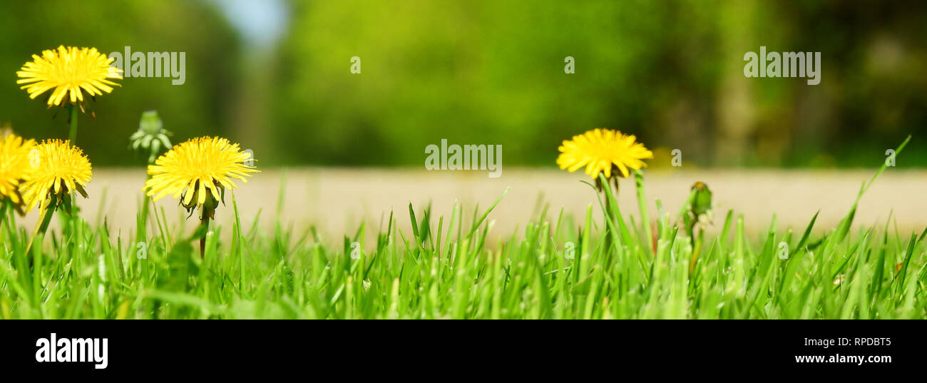 Panorama panoramic sunny hi-res stock photography and images - Alamy