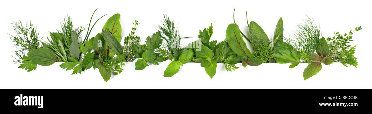 Fresh Herbs - Panorama on white Background Stock Photo