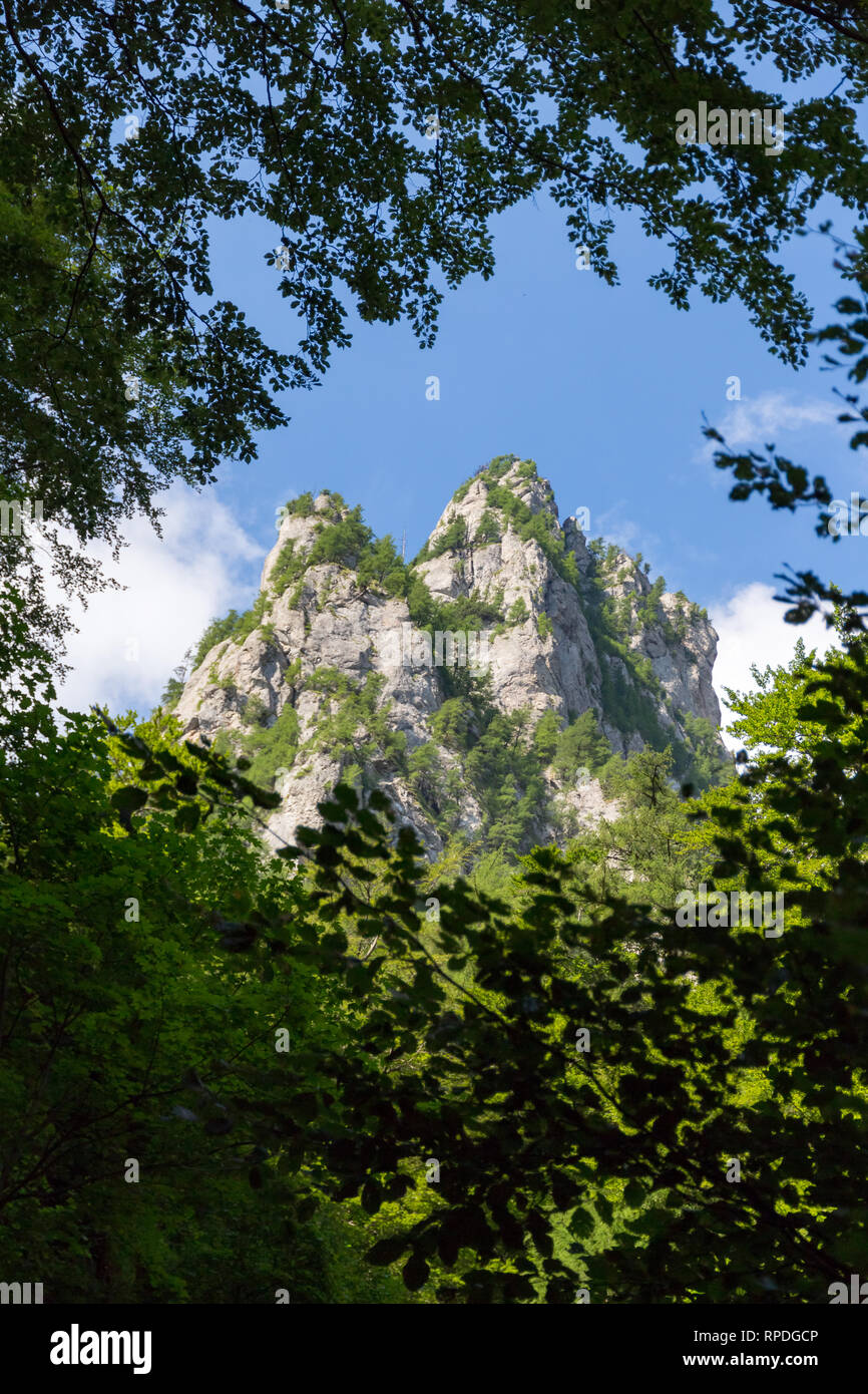Two mountain peaks seen from a natural frame of leaves and tree branches, while hiking on a mountain trail, on a bright Summer day, in Bucegi (Carpath Stock Photo