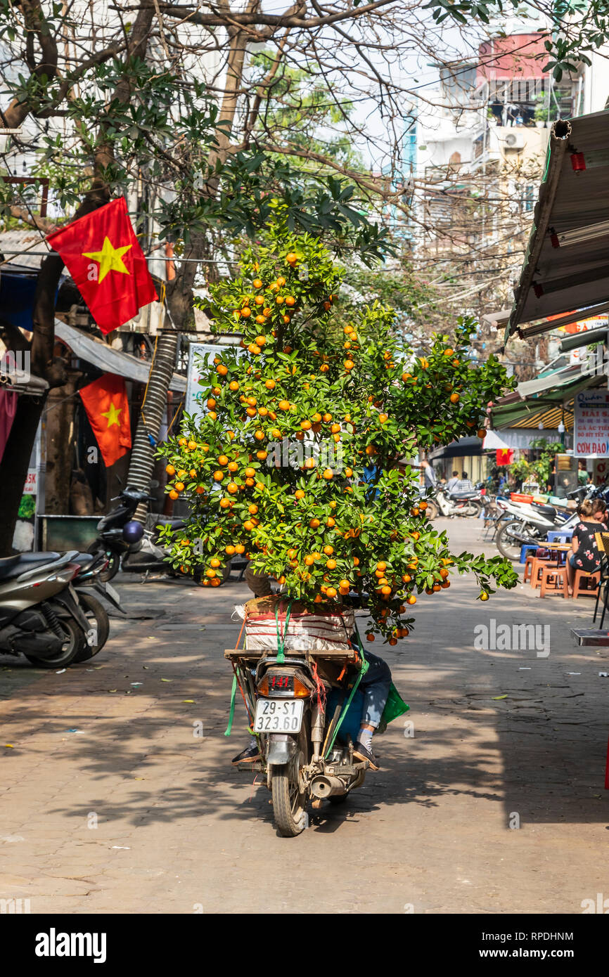 Motor bike with an orange bush as luggage travelling through a back street in Ha Noi, Vietnam, Asia Stock Photo