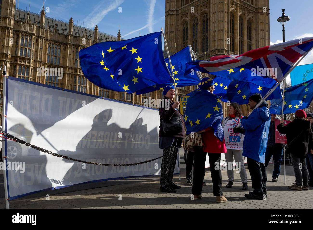 Pro-EU campaigners stand with EU flags opposite parliament during the continuing protest against Brexit, on 19th February 2019, in London, England. Stock Photo