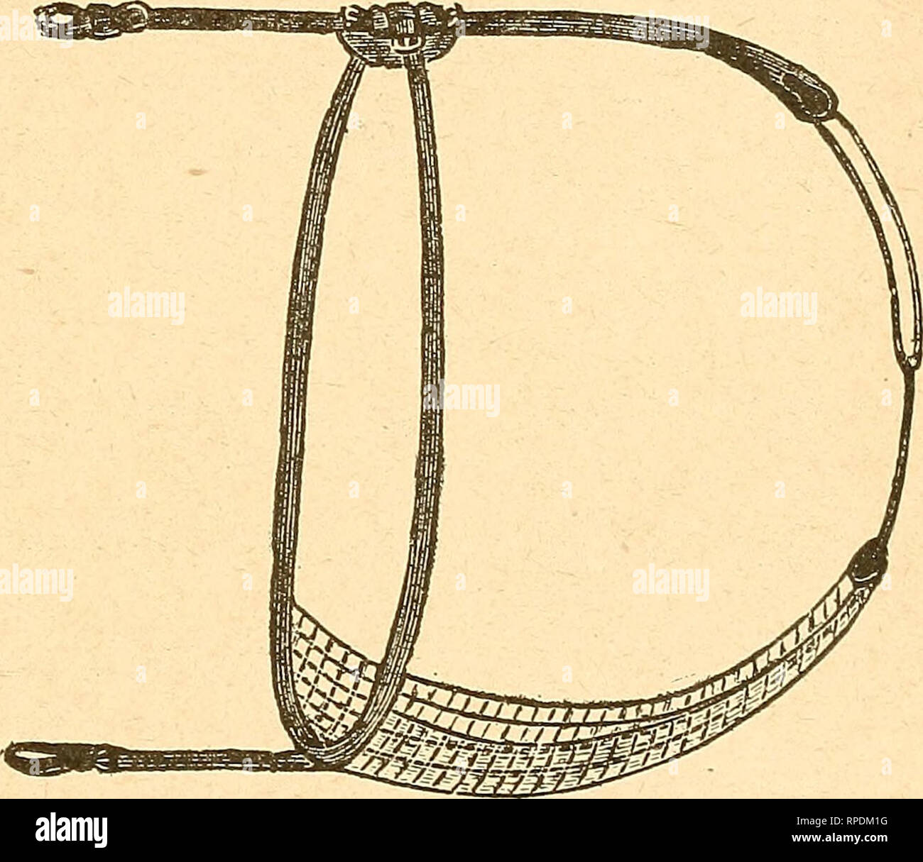 . The American farmer's horse book; a pictorial cyclopedia of facts