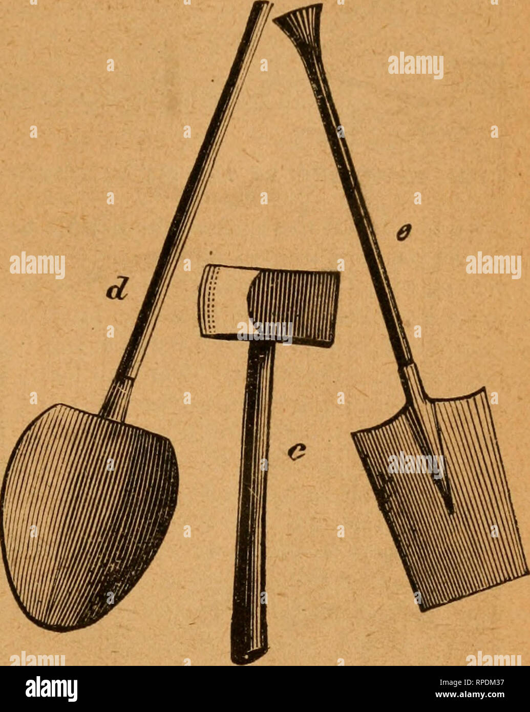 . The American farm and stock manual. Agriculture; Home economics. FE-S^C'ES AN^D GATES. 35 alike, and all the holes in tiie post are the proper distance apart. After your posts are bored, the next step is to have a narrow-blade axe, with a short handle, as shown at e. Fig. 2 (a common axe, would do, however), and with this mortise out the holes, which is done by laying the post flat- wise on the ground, or on a stout, low trestle, similar to the &quot; pointer &quot; shown at Fig. 3. When one side is mortised half out, turn the post and finish. A good hand will bore and mortise fifteen posts  Stock Photo