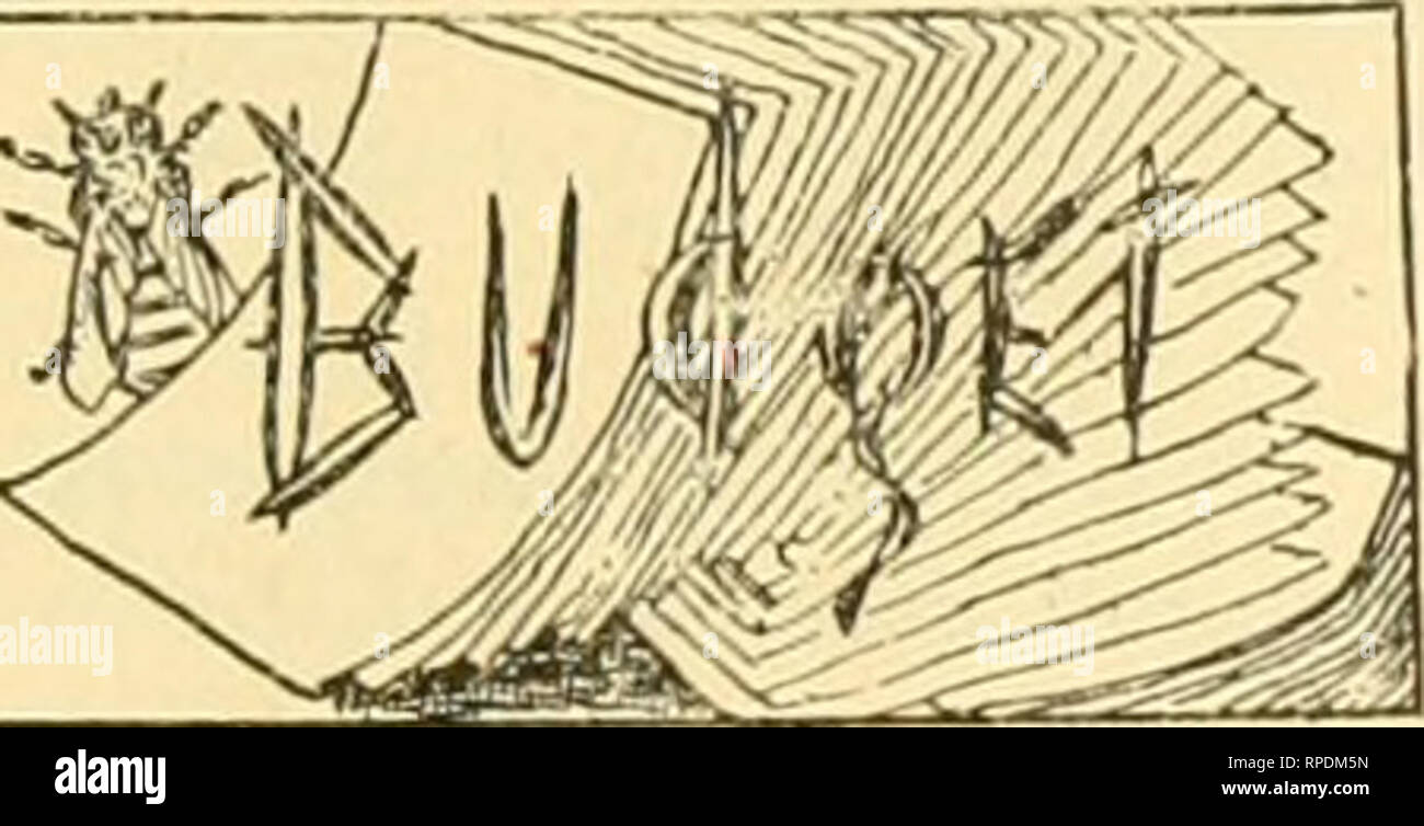 . American bee journal. Bee culture; Bees. 1898. THE AMERICAN BEE JOURNAL. 105 are 200 subscribers, and it would require 1,000 to pay ex- penses out of pocket. But we needn't go to England for tiiat sort of honesty. It can be found In the columns of the Progressive Bee-Keeper, which has entered Its eighth year, and whose publisher says : "Friends, do you know the Progressive has never made a dol- ar for me yet? It is a fact. It has never paid more than expenses." And yet the Progressive is worth a dozen of those papers that flourlsht such long lists of subscribers, and then mysteriou Stock Photo