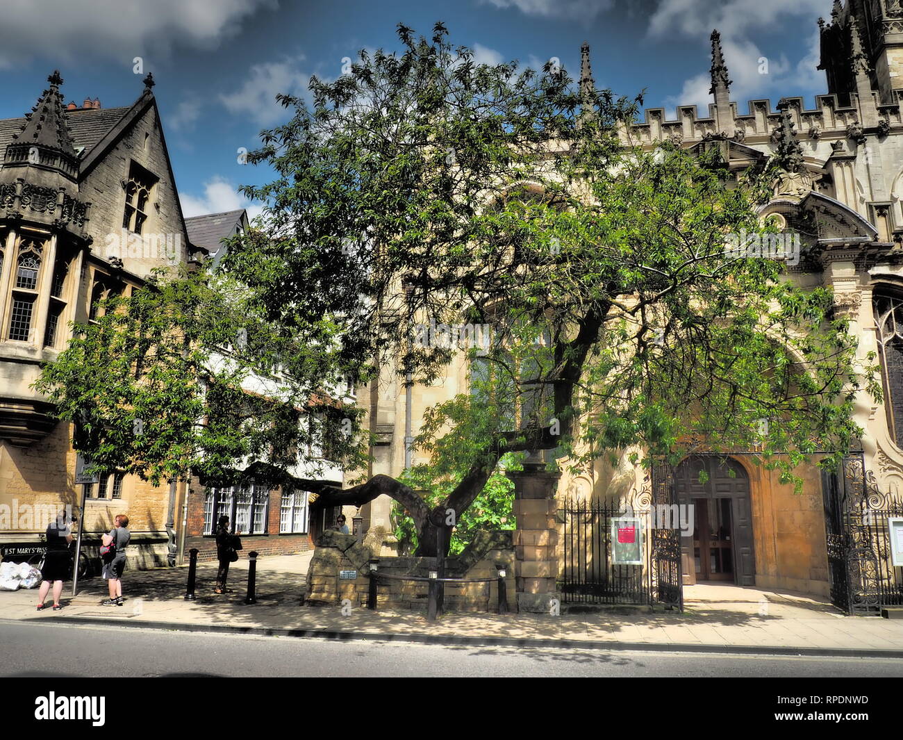 Tree outside Oxford University Oxford UK Stock Photo Alamy